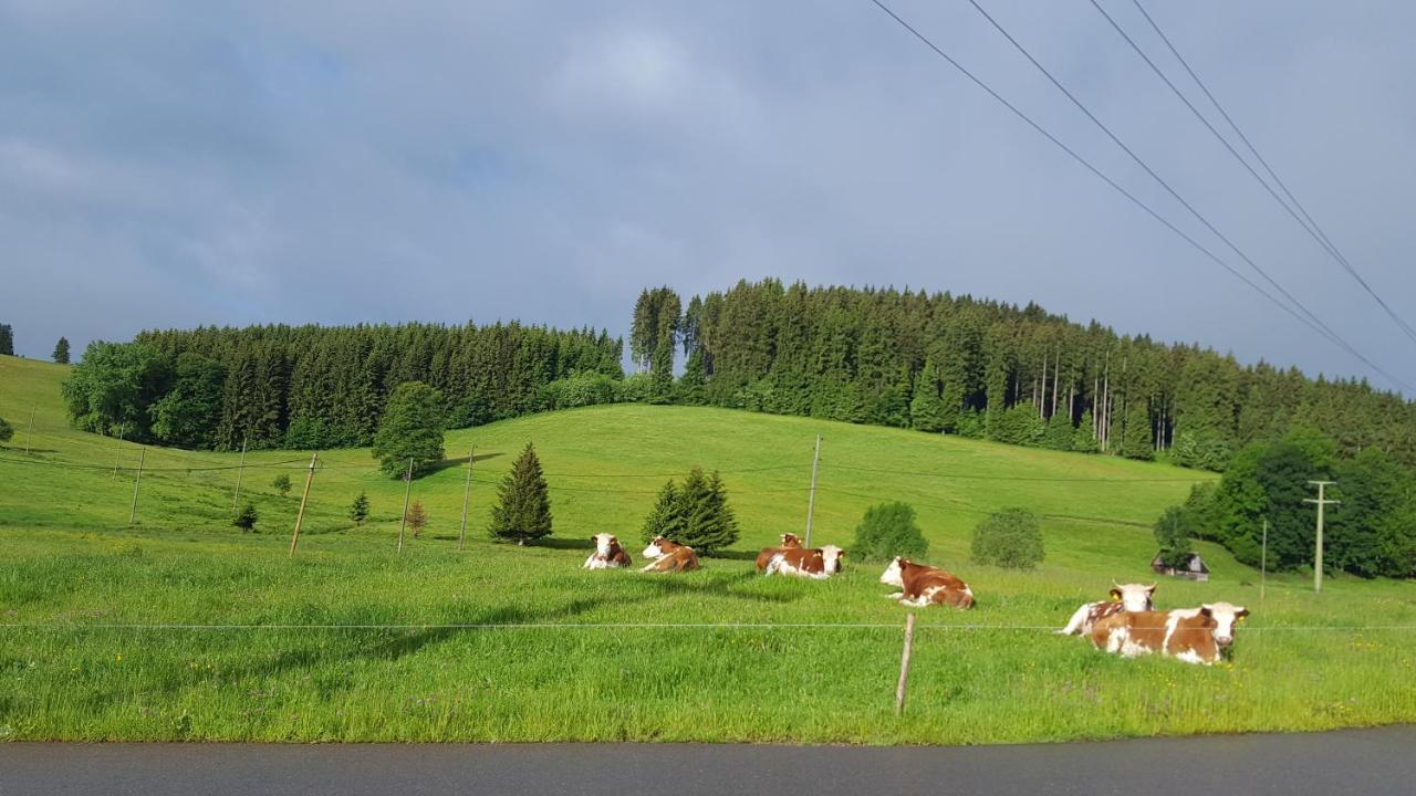 Appartement Rehblick Eisenbach  Exteriér fotografie