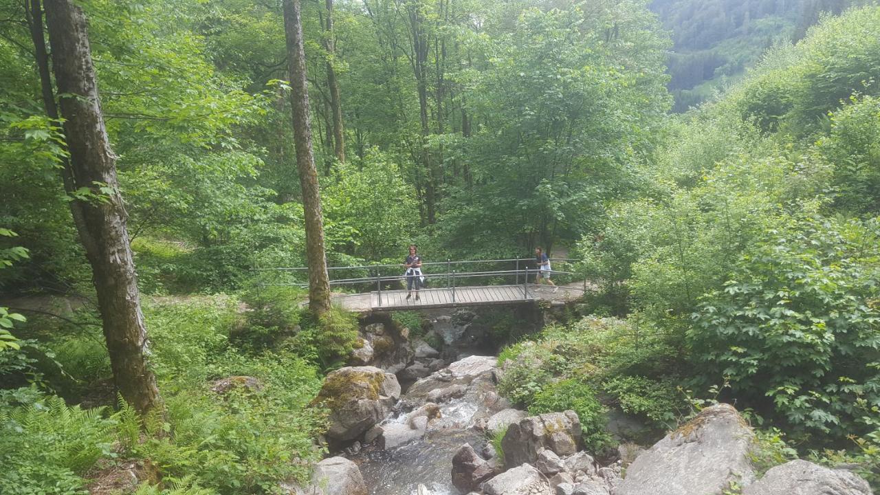 Appartement Rehblick Eisenbach  Exteriér fotografie