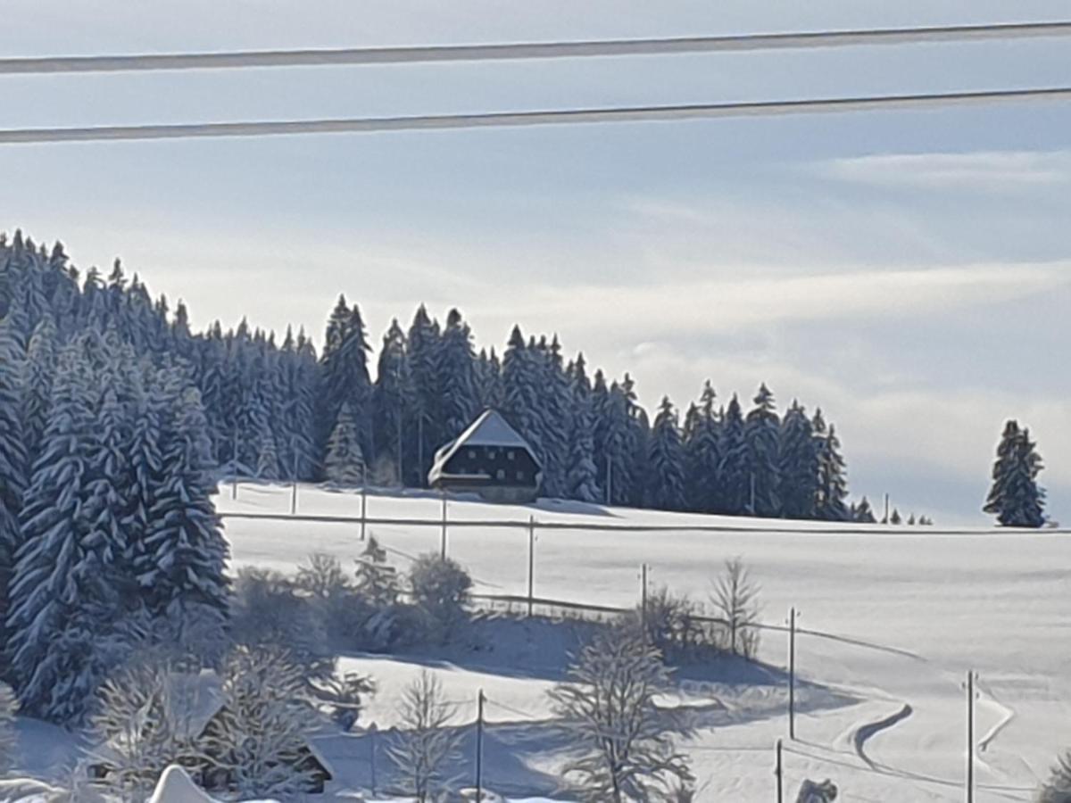 Appartement Rehblick Eisenbach  Exteriér fotografie