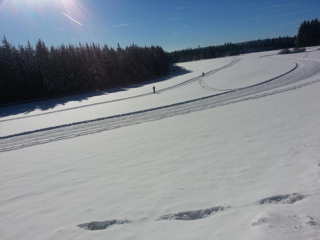 Appartement Rehblick Eisenbach  Pokoj fotografie