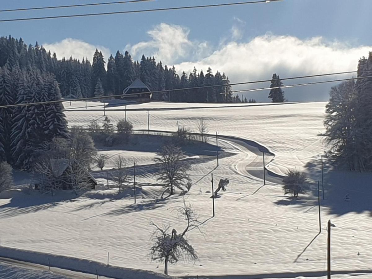 Appartement Rehblick Eisenbach  Exteriér fotografie