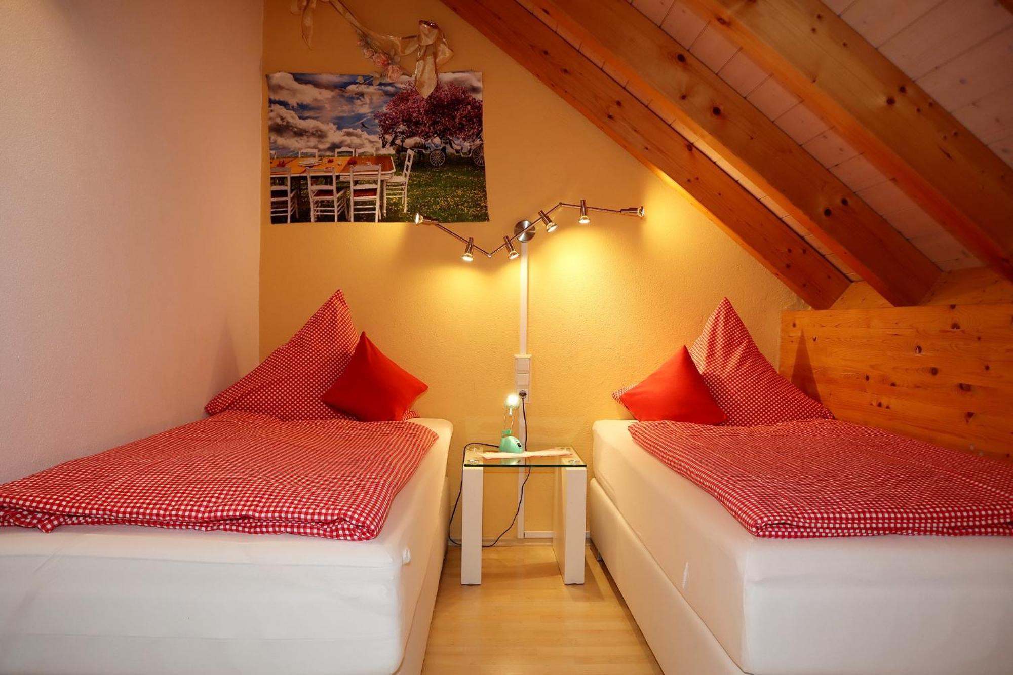 Appartement Rehblick Eisenbach  Exteriér fotografie