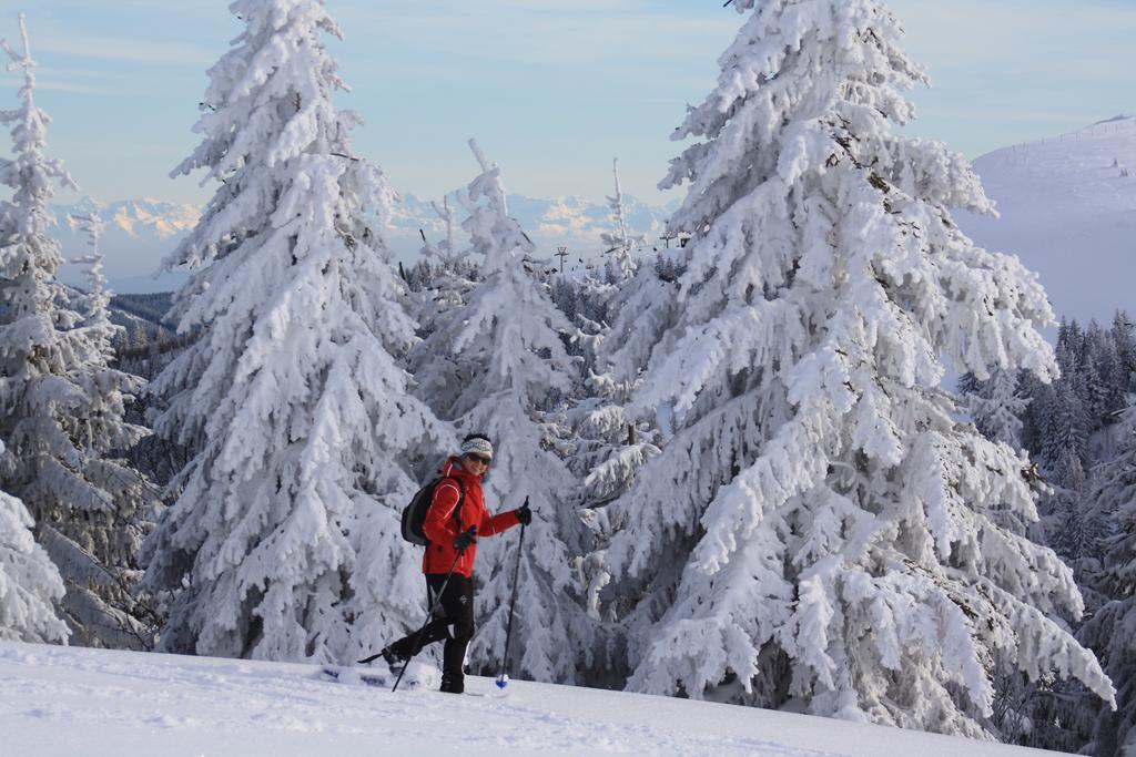 Appartement Rehblick Eisenbach  Exteriér fotografie