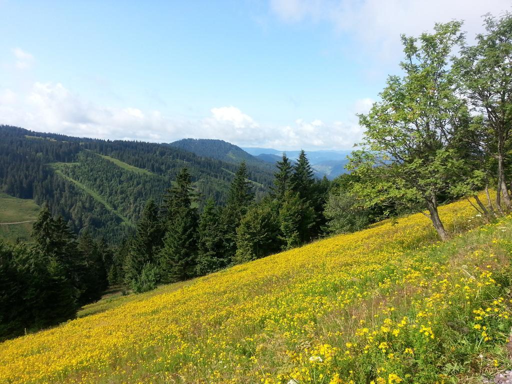 Appartement Rehblick Eisenbach  Pokoj fotografie
