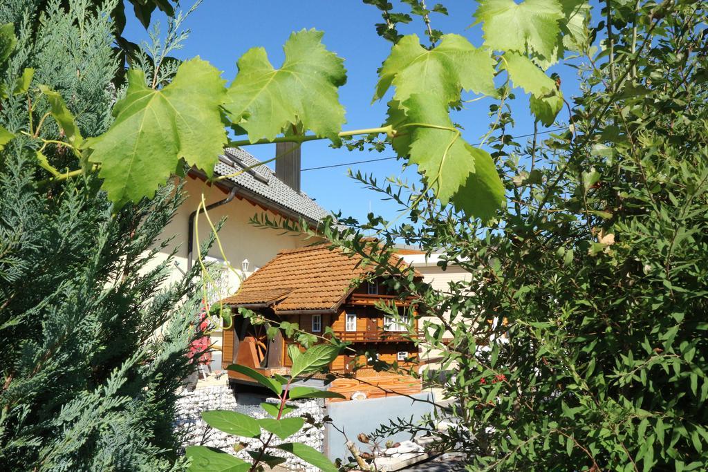 Appartement Rehblick Eisenbach  Exteriér fotografie