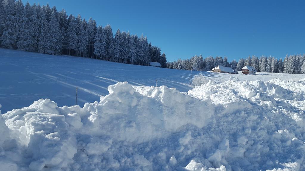 Appartement Rehblick Eisenbach  Exteriér fotografie