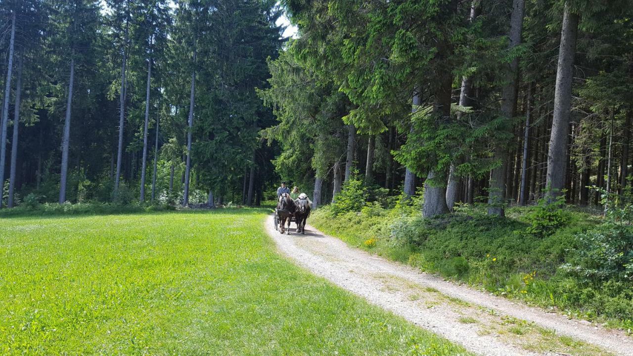 Appartement Rehblick Eisenbach  Exteriér fotografie