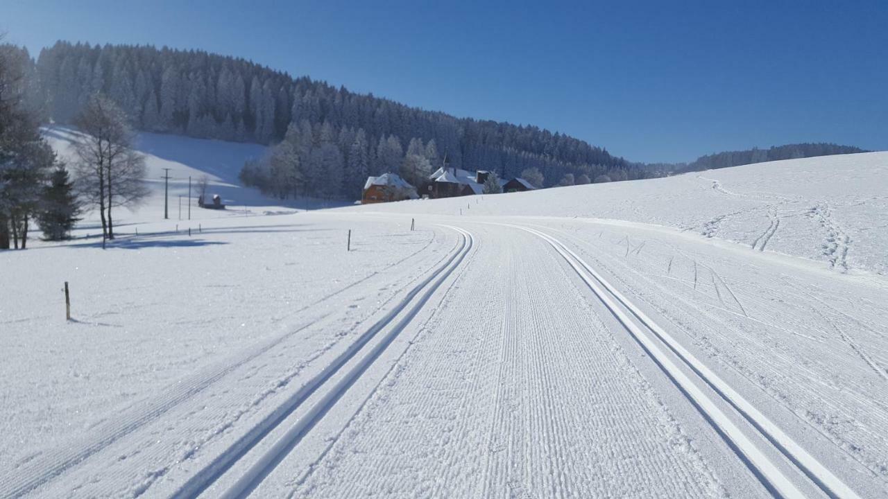 Appartement Rehblick Eisenbach  Exteriér fotografie